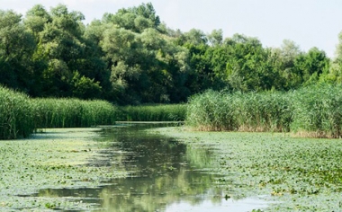 7 egyedülálló nevezetesség a Tisza-tó környékén